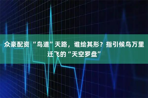 众豪配资 “鸟道”天路，谁绘其形？指引候鸟万里迁飞的“天空罗盘”